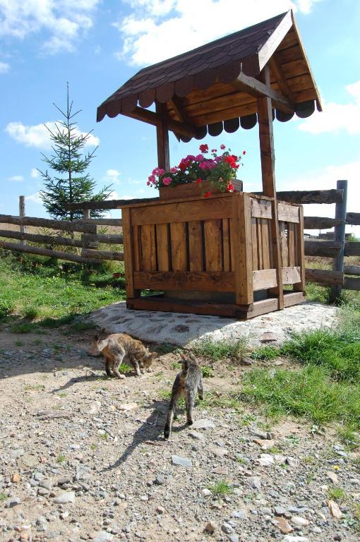 Cabana Motilor Мэришел Экстерьер фото